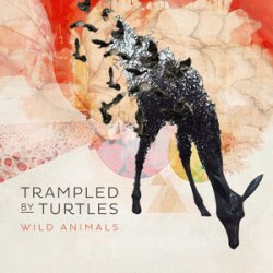 trampled_by_turtles_cover